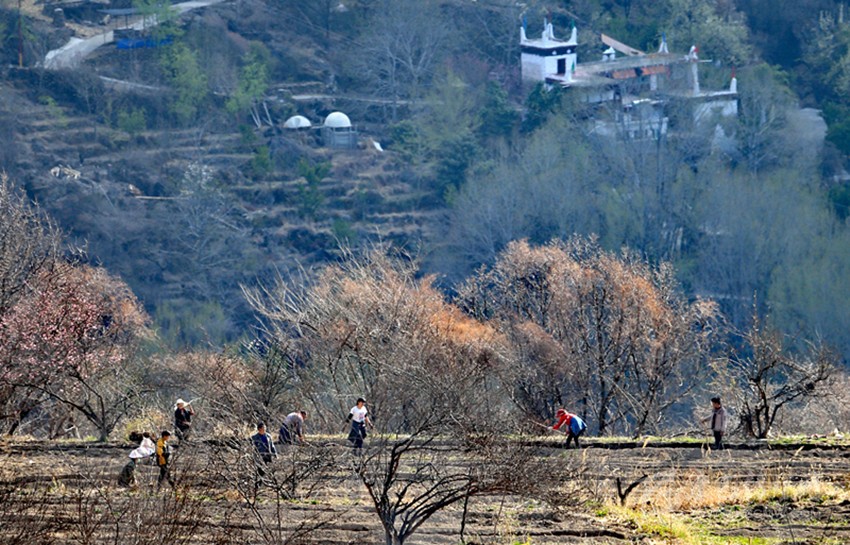 鉚足“?！眲鸥髅? onload=