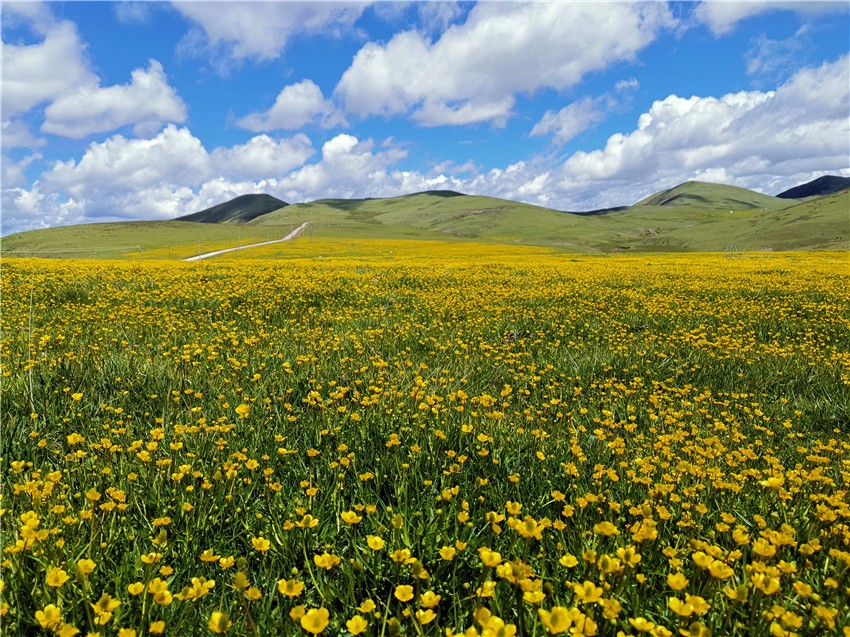 祝?；ê? 任剛.jpg