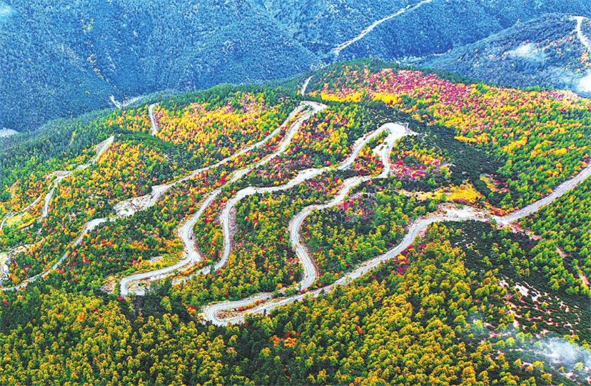 10月14日.jpg 10月14日.jpg