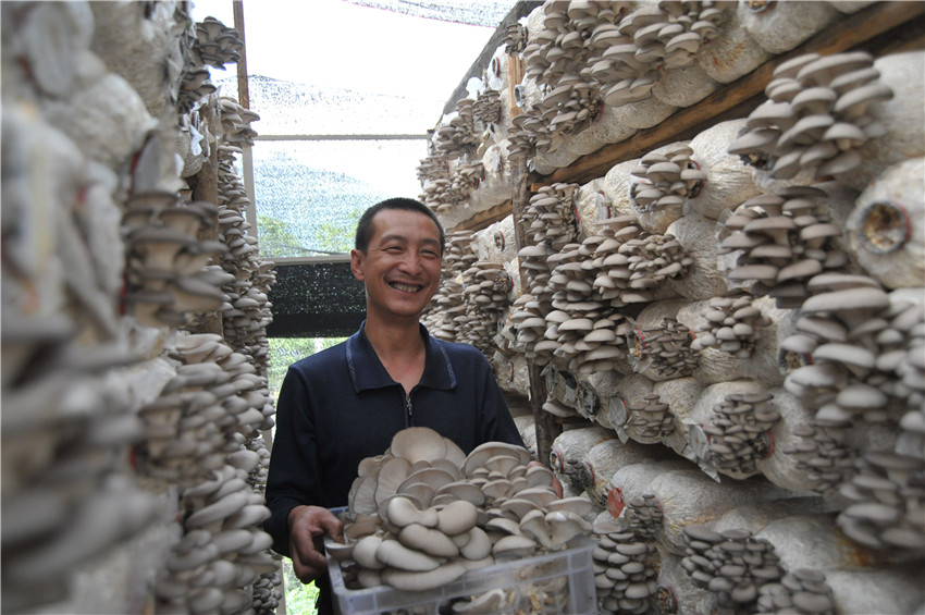 圖為瀘定縣.jpg 圖為瀘定縣.jpg