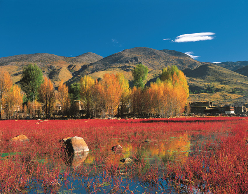 27年前用鏡頭『發(fā)現』稻城亞丁曠世之美